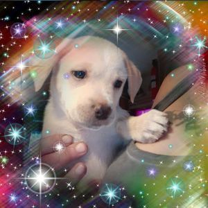 Meet your Posher, Denise